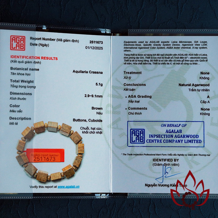 Vòng Trầm Hương Hạt Lách | Trầm Tốc Kiến Tự Nhiên Lâu Năm